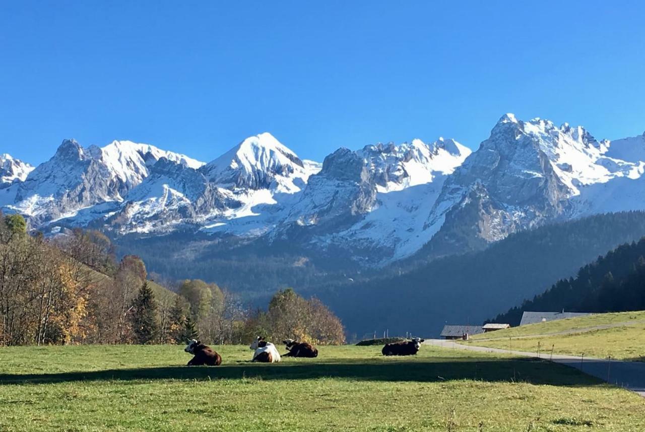 Bel appartement avec vue exceptionnelle Le Grand-Bornand Extérieur photo
